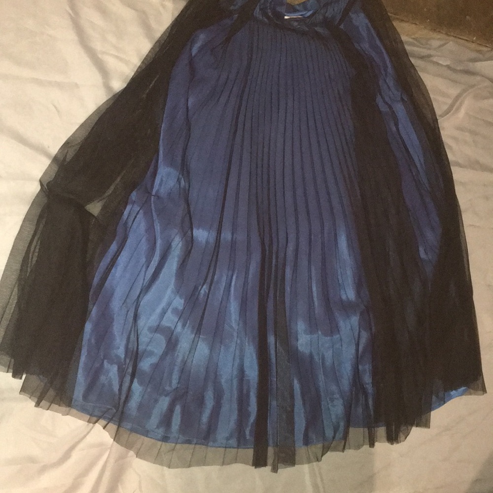 Adriana Papel pleated skirt w blue under slip
